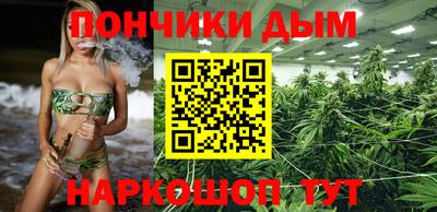 spice Кингисепп