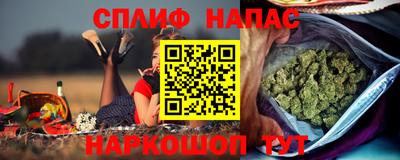 spice Кингисепп