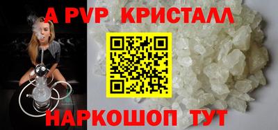 spice Кингисепп